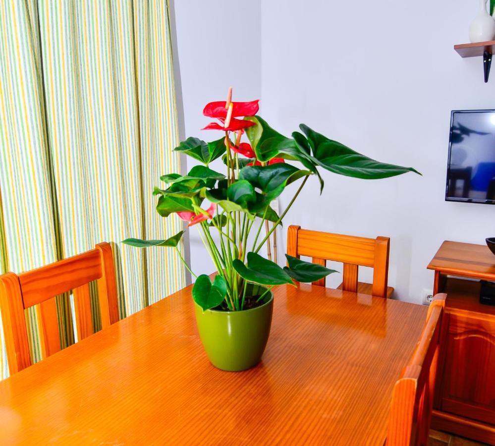 Casa Manoli Villa Conil De La Frontera Ngoại thất bức ảnh